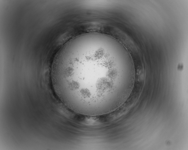 X0000102870753200808181505