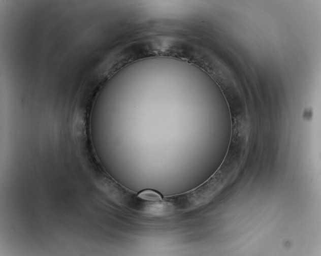 X0000102870754200808181505