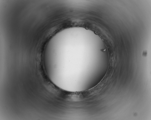 X0000102870756200808181505