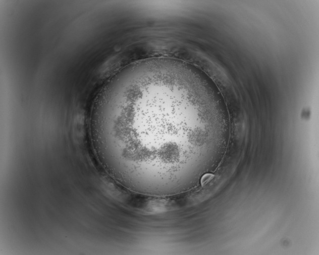 X0000102870757200808181505