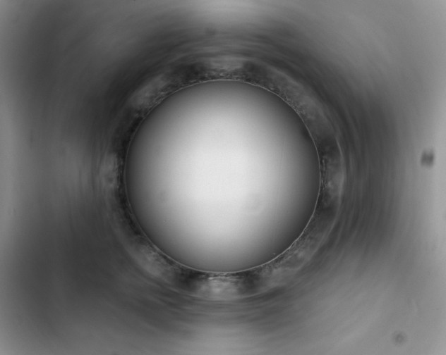 X0000102870758200808181505