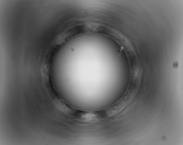 X0000102870759200808181505