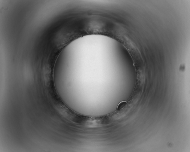 X0000102870760200808181505