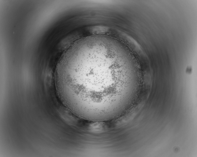 X0000102870761200808181505