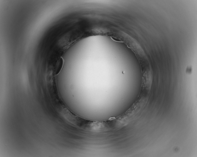 X0000102870762200808181505