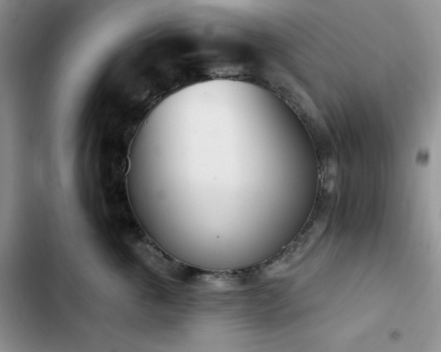 X0000102870763200808181505