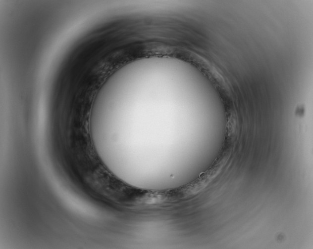X0000102870764200808181505