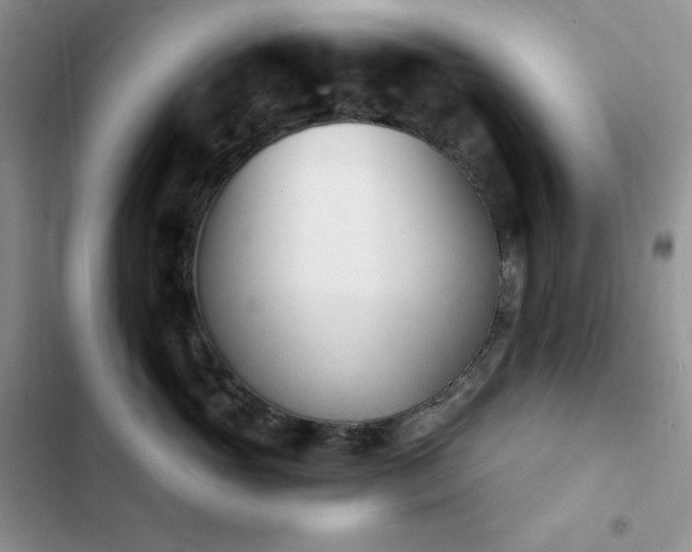 X0000102870765200808181505