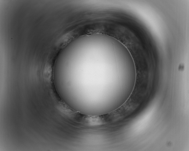 X0000102870767200808181506