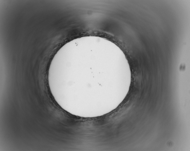 X0000102870769200808181505