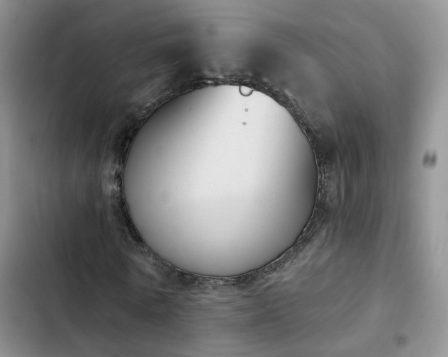 X0000102870770200808181505