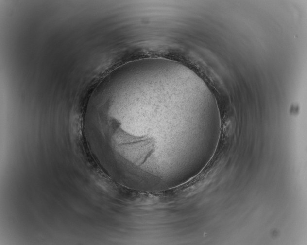 X0000102870772200808181505