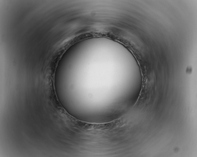 X0000102870773200808181505