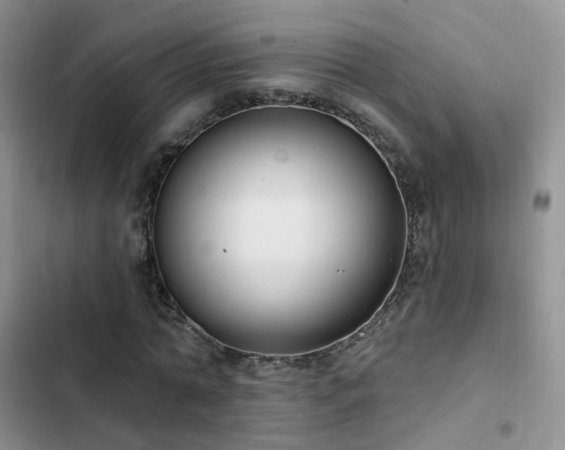 X0000102870774200808181505
