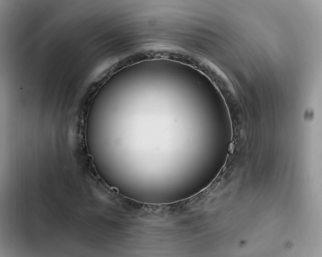 X0000102870775200808181505