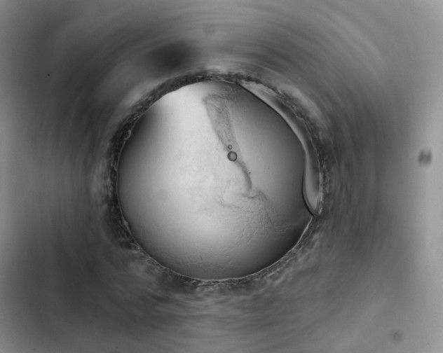 X0000102870776200808181505