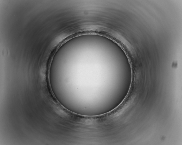 X0000102870778200808181505