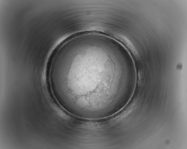 X0000102870780200808181505