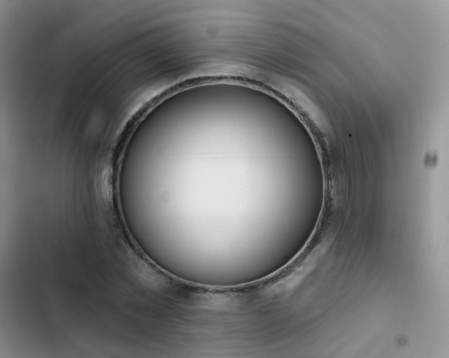 X0000102870781200808181505