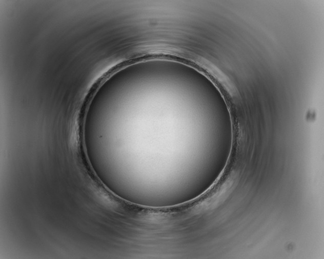 X0000102870782200808181505