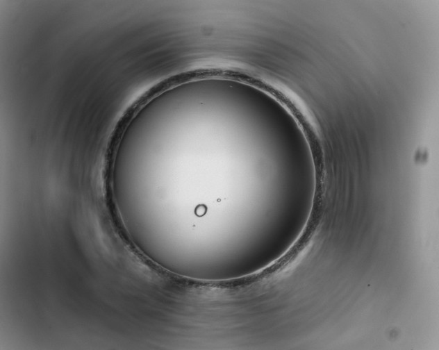 X0000102870783200808181505