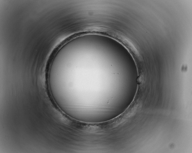 X0000102870784200808181505