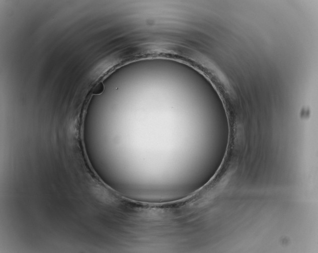 X0000102870785200808181505
