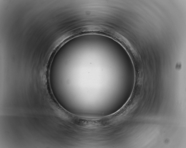 X0000102870786200808181505