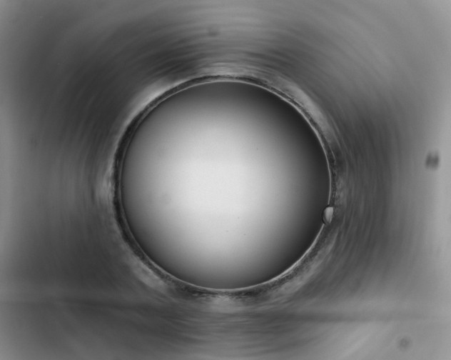 X0000102870787200808181505
