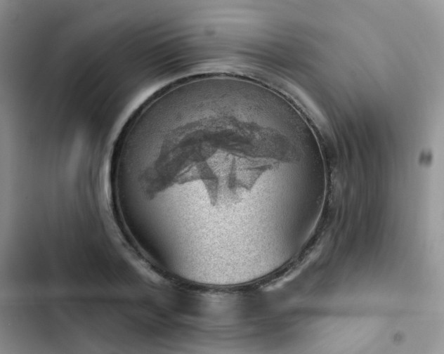 X0000102870788200808181505