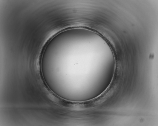 X0000102870789200808181505