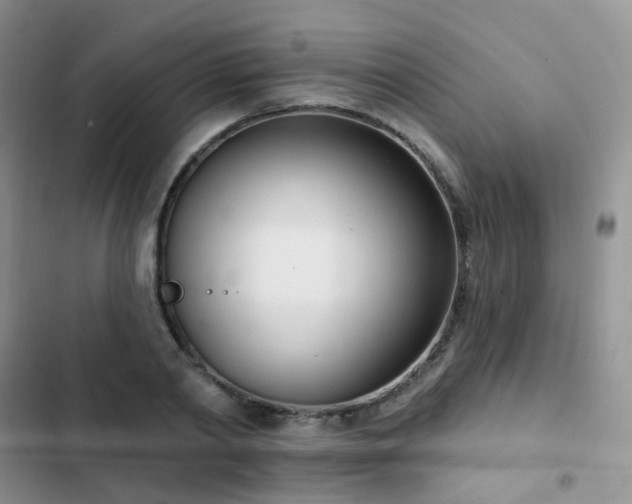 X0000102870790200808181505