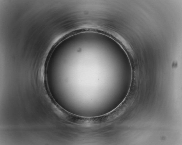 X0000102870791200808181505