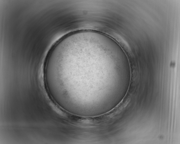 X0000102870792200808181505