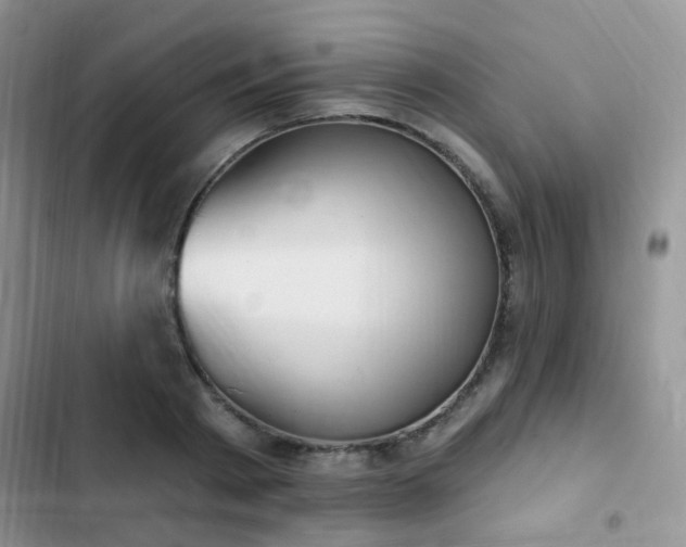 X0000102870793200808181505