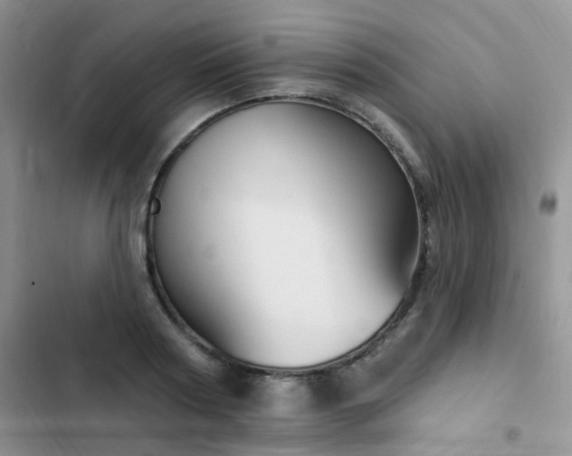 X0000102870794200808181505