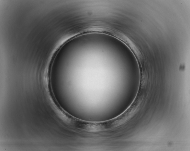 X0000102870795200808181505