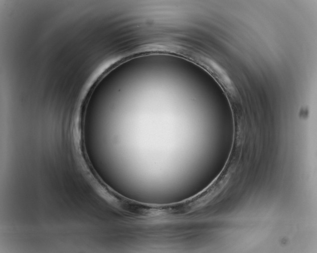 X0000102870796200808181505