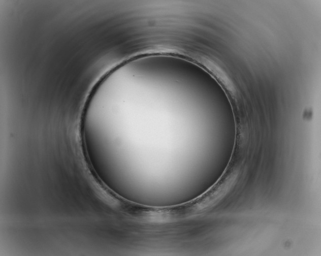 X0000102870797200808181504