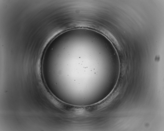 X0000102870798200808181504