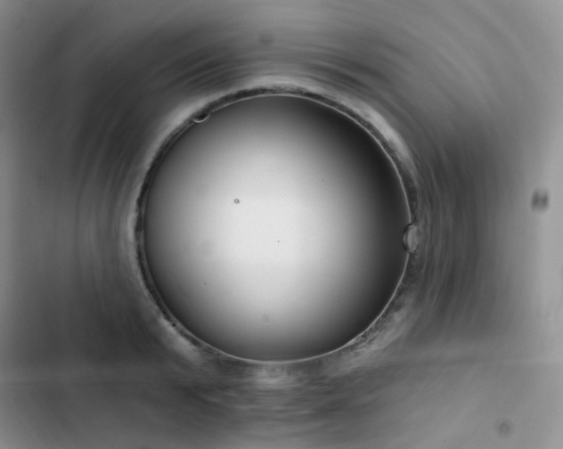 X0000102870799200808181504