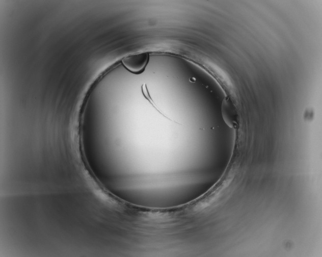 X0000102870800200808181504