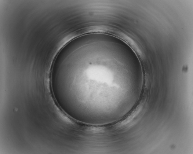 X0000102870802200808181504