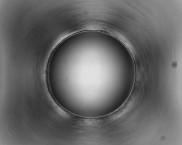 X0000102870803200808181504