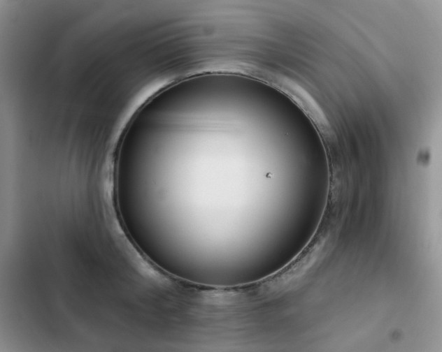 X0000102870804200808181504