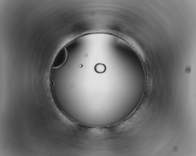 X0000102870805200808181504