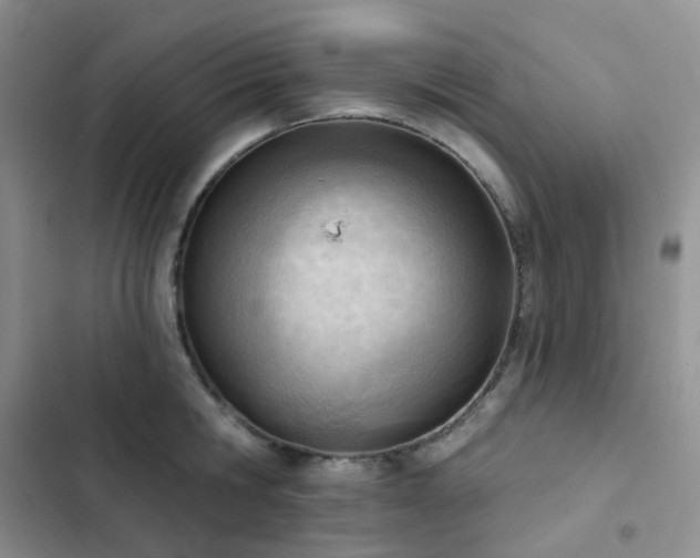 X0000102870806200808181504