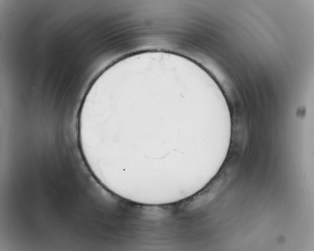 X0000102870807200808181504