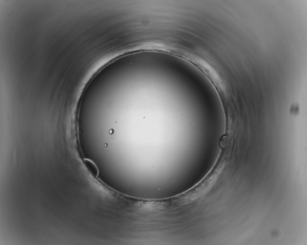 X0000102870808200808181504