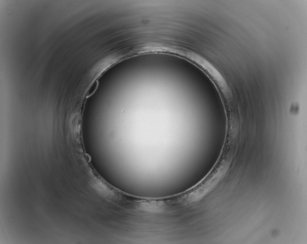 X0000102870809200808181504